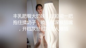 丰乳肥臀大奶妹，超短裙一把抱住揉奶子，镜头前深喉插嘴，开档灰丝扣穴后人爆插