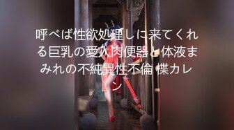 呼べば性欲処理しに来てくれる巨乳の愛人肉便器と体液まみれの不純異性不倫 楪カレン