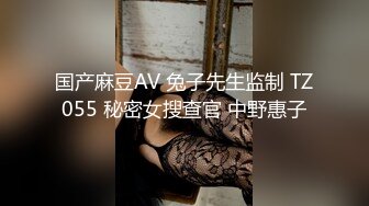 国产麻豆AV 兔子先生监制 TZ055 秘密女搜查官 中野惠子