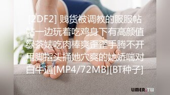 [2DF2] 贱货被调教的服服帖帖一边玩着吃鸡身下有高颜值绿茶婊吃肉棒爽歪歪手腾不开用脚指头捅她穴爽的她娇喘对白牛逼[MP4/72MB][BT种子]