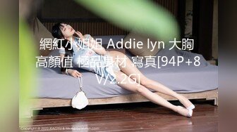 網紅小姐姐 Addie lyn 大胸 高顏值 極品身材 寫真[94P+8V/2.2G]