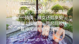 [MP4]专门喜欢搞熟女，撩起裙子一顿摸，骚女还挺享受，双腿肩上扛猛怼，翘起屁股扶着JB深插，啊啊浪叫