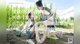 淫荡对白销魂呻吟，推特约炮大咖【夏次健】自传，调教爆肏巨乳肥臀小母狗，无套暴力输出肏到尖叫喊爸爸 (20)