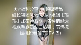 ★☆福利分享☆★顶级精品！维拉舞团风骚气质小姐姐【瑶瑶】加密特五期，各种情趣透视露毛露奶劲曲热舞，表情抚媚挑逗看硬了20V (5)