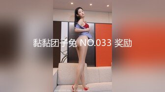 黏黏团子兔 NO.033 奖励