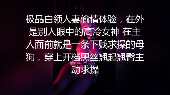 极品白领人妻偷情体验，在外是别人眼中的高冷女神 在主人面前就是一条下贱求操的母狗，穿上开档黑丝翘起翘臀主动求操